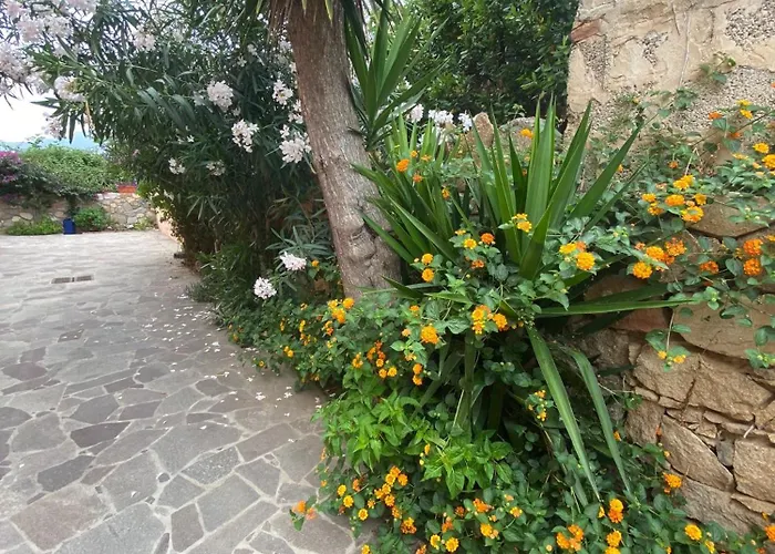 Casa Giuli וילסימיוס